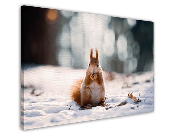Eichhörnchen im Schnee