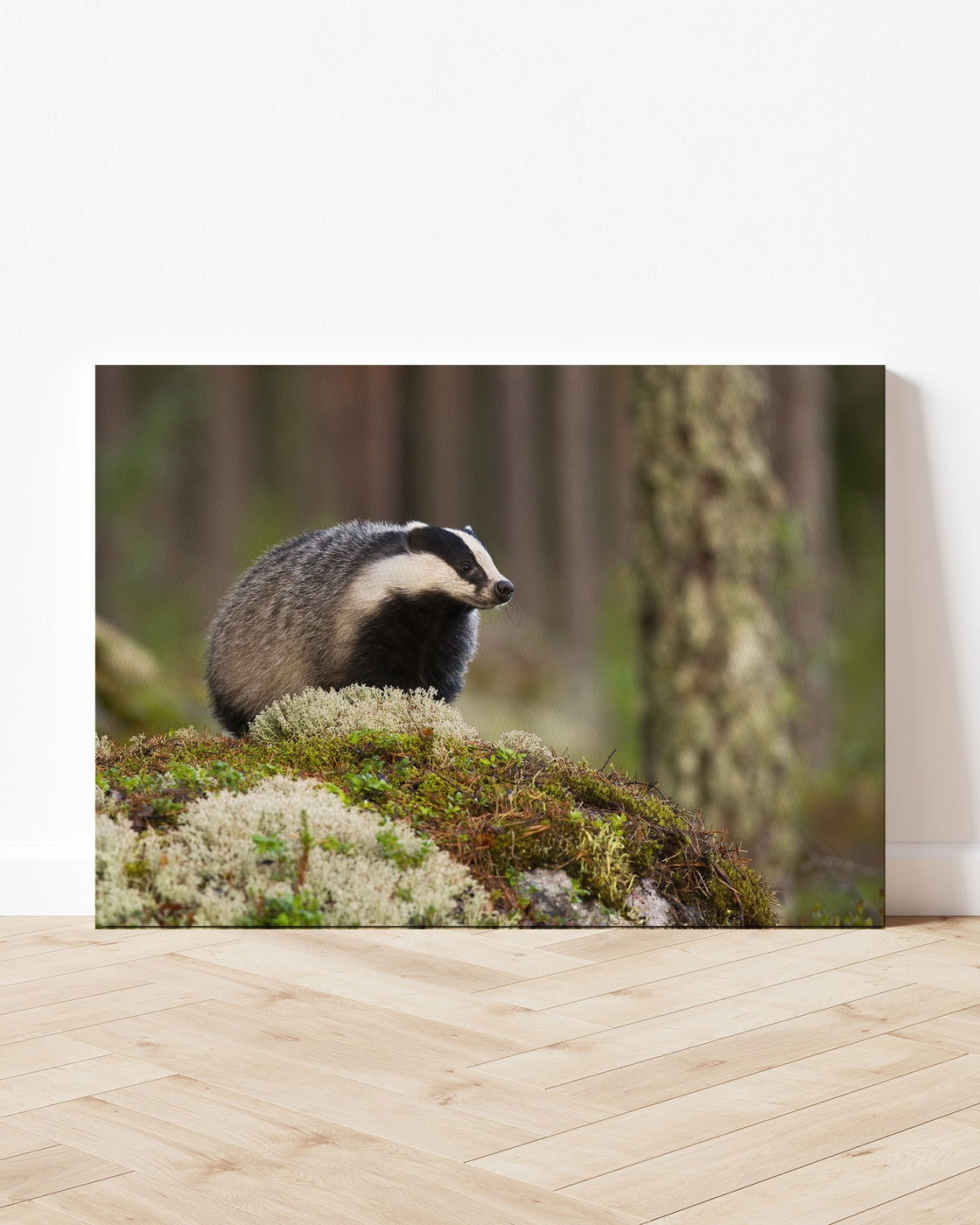 stretched-canvas