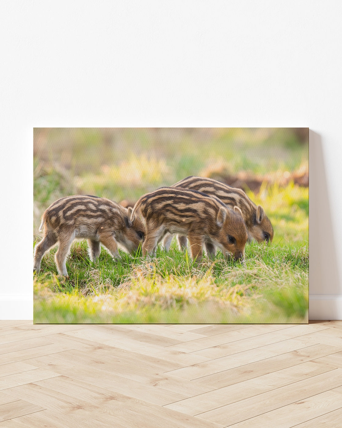 stretched-canvas