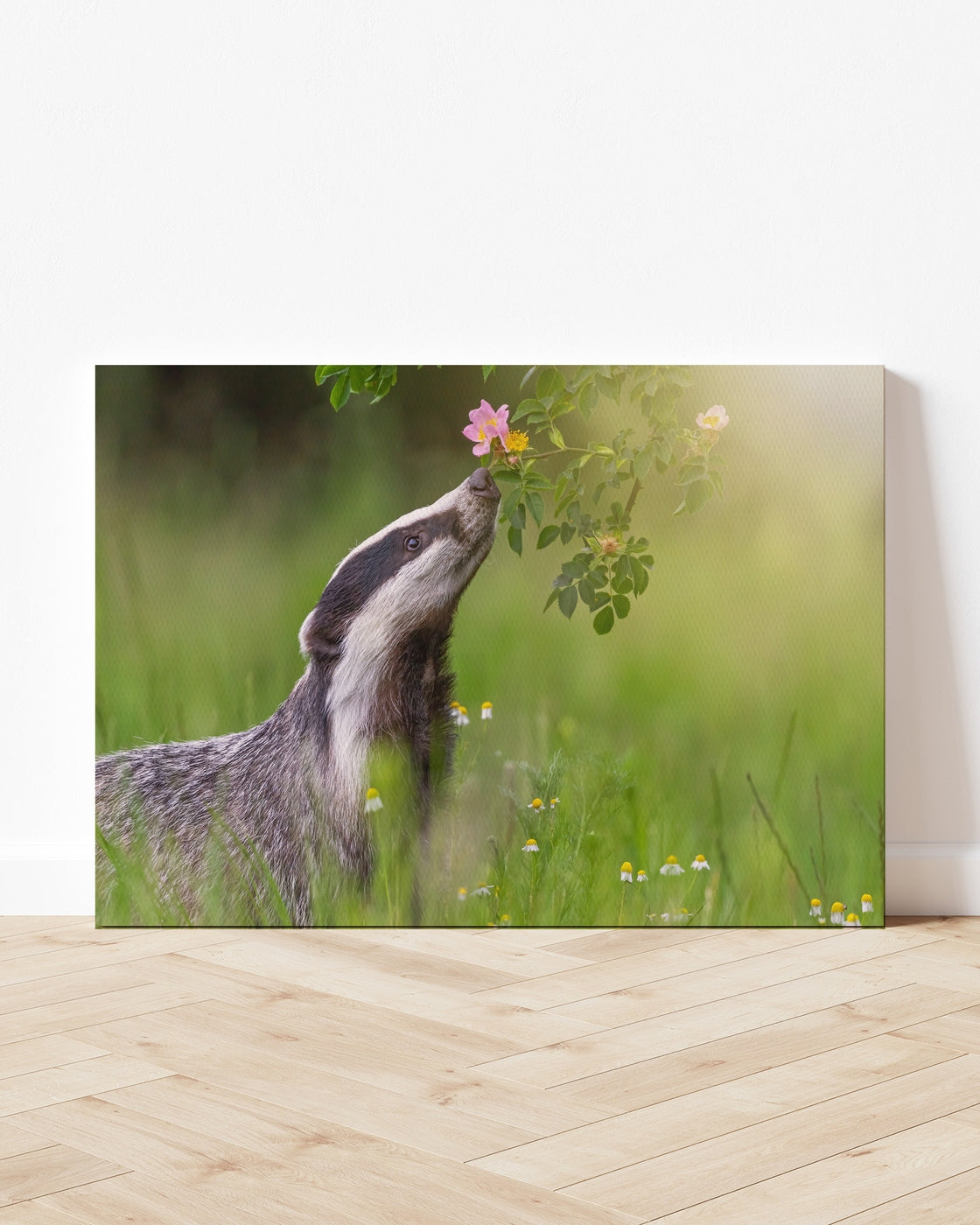 stretched-canvas