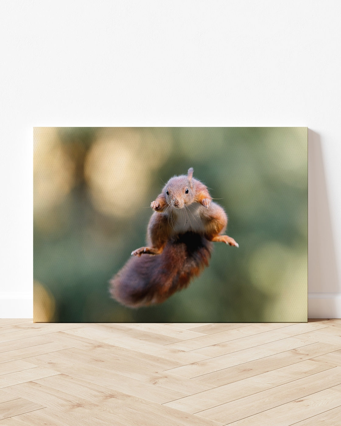stretched-canvas