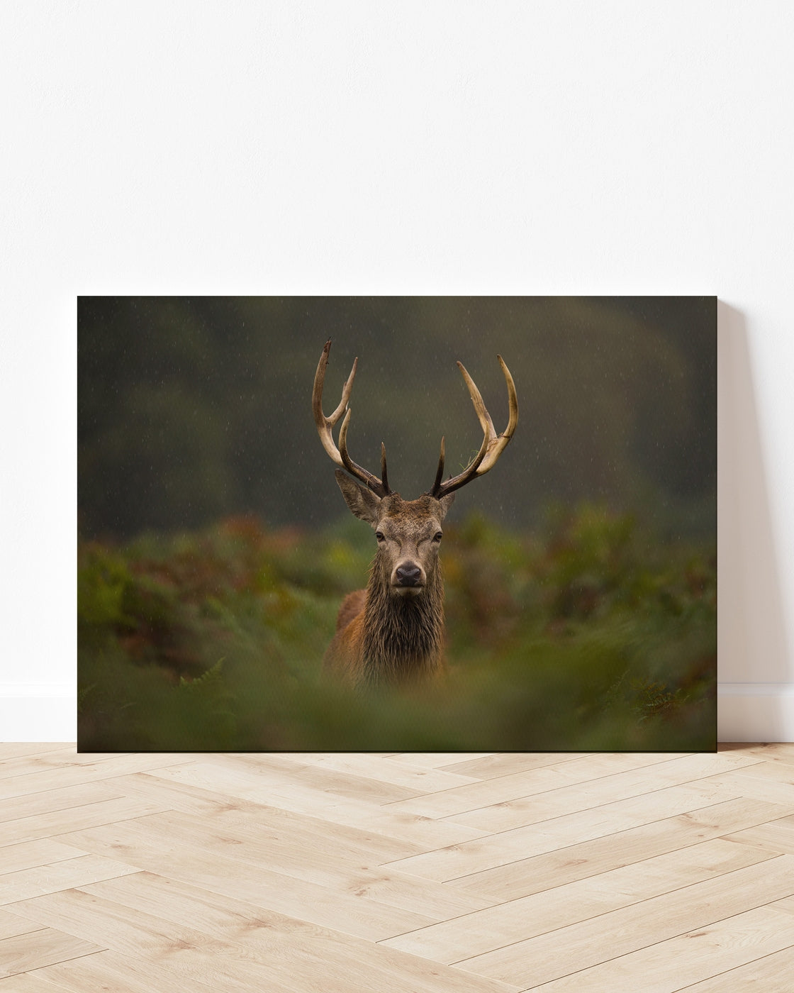 stretched-canvas