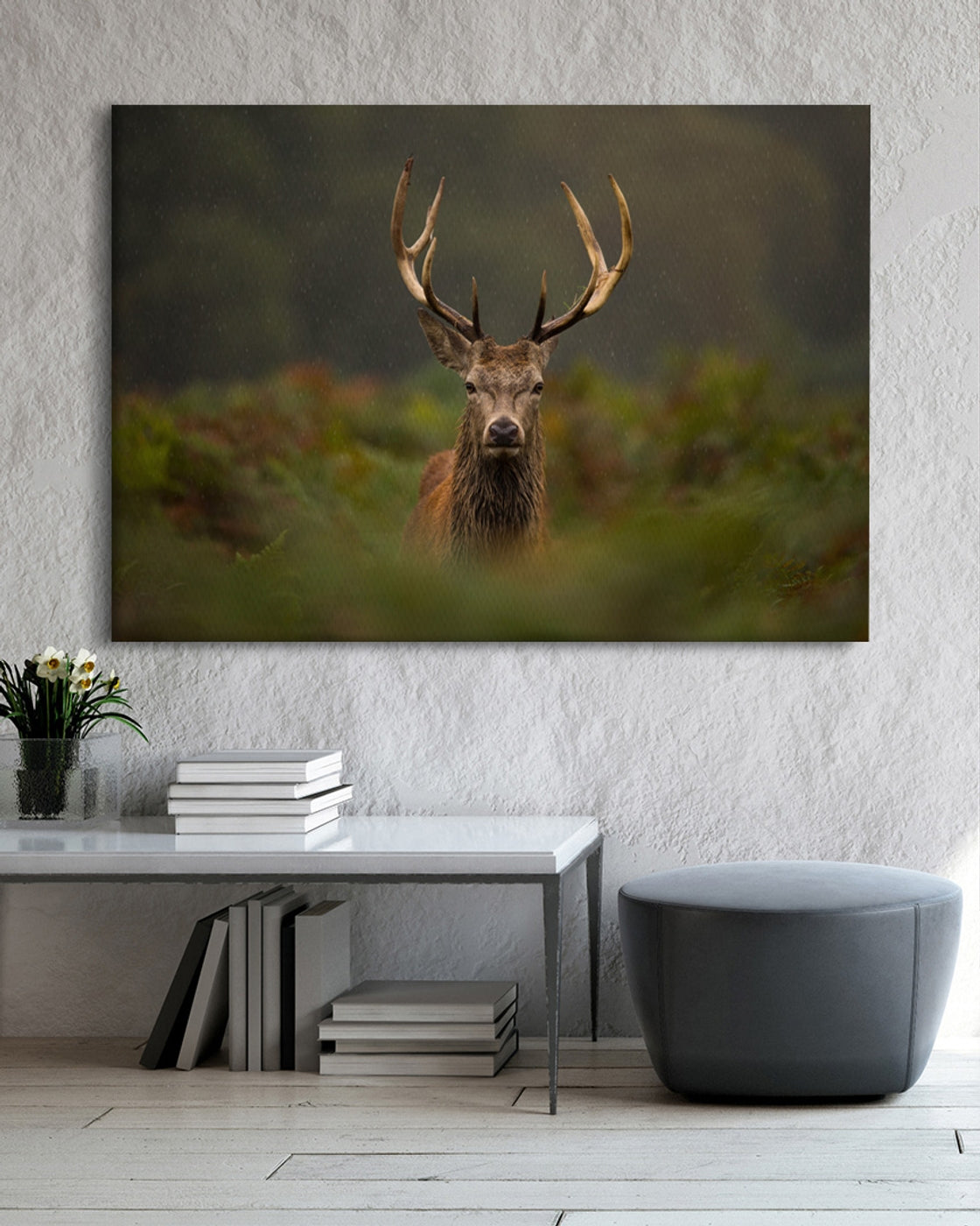 stretched-canvas