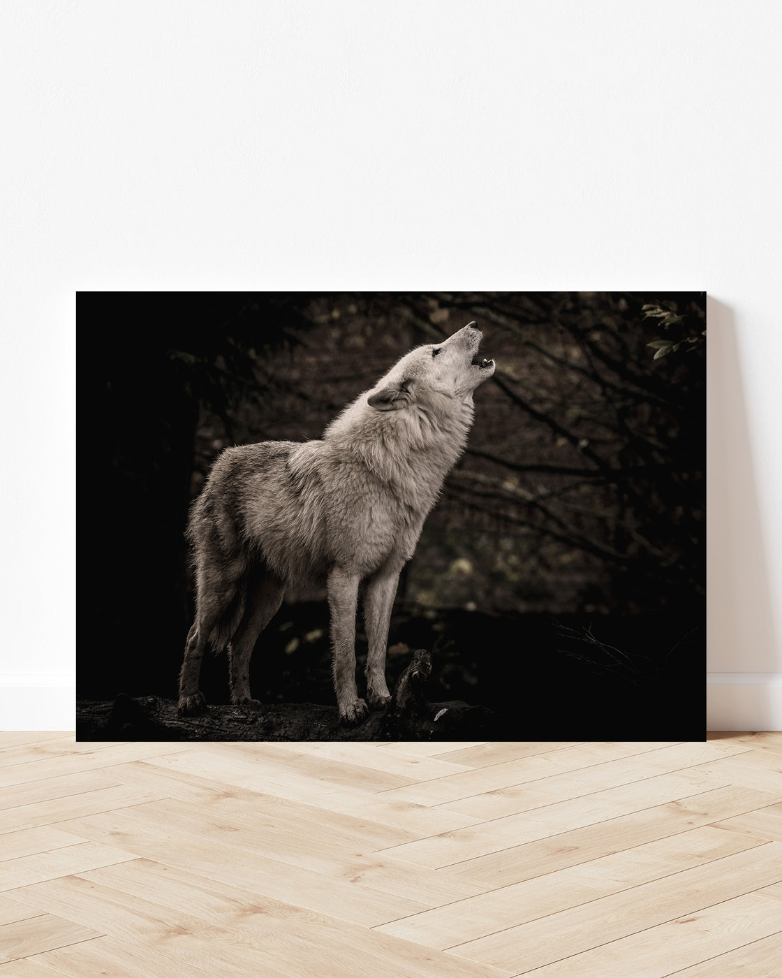 stretched-canvas