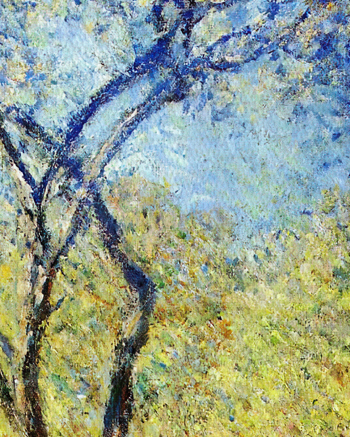 canvas