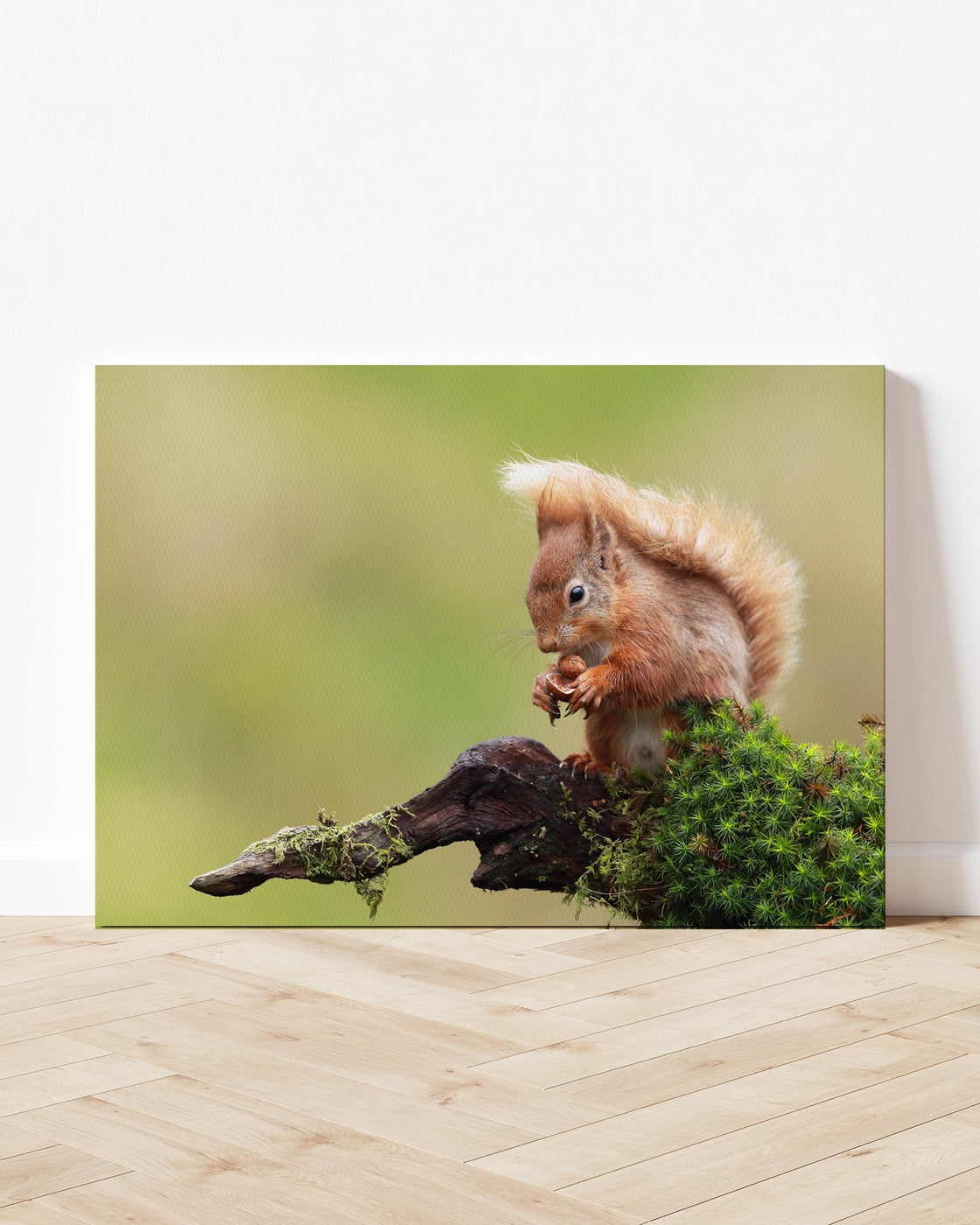 stretched-canvas