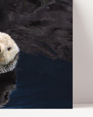 After Hover: Swimming sea otter