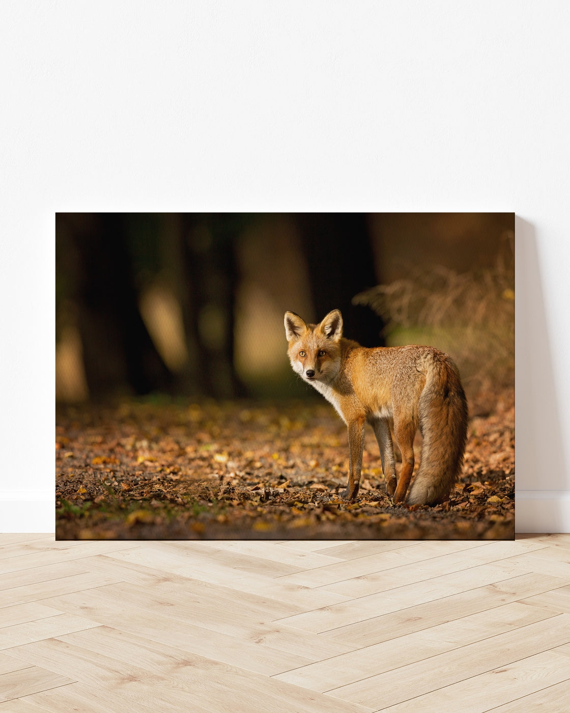 stretched-canvas