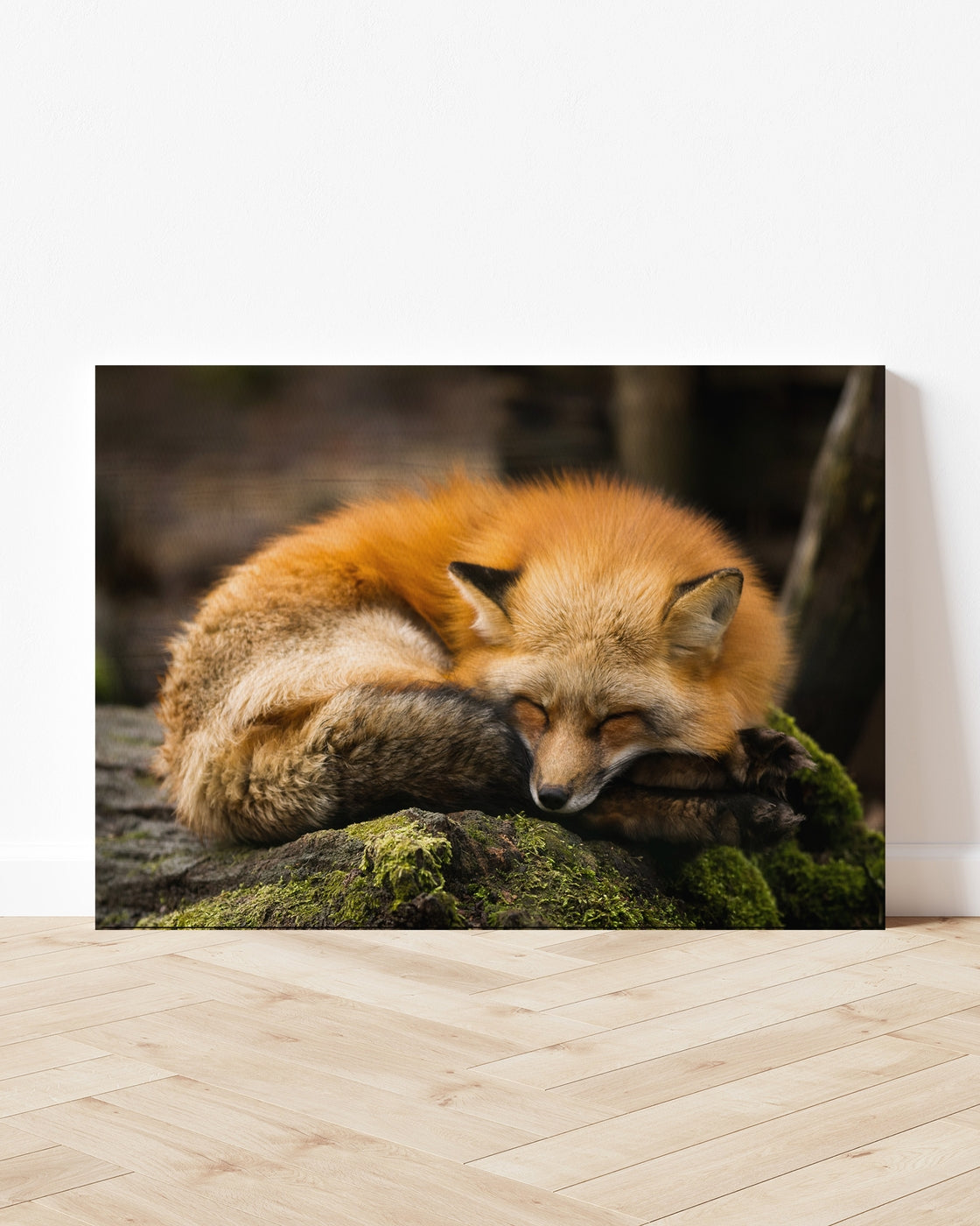 stretched-canvas