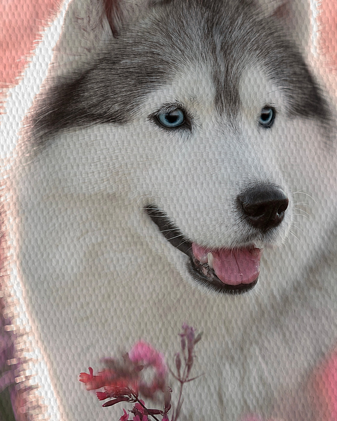 canvas