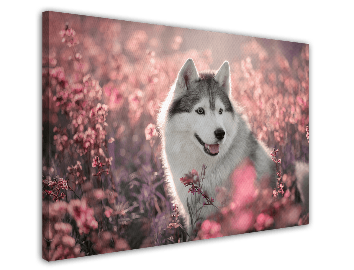 stretched-canvas
