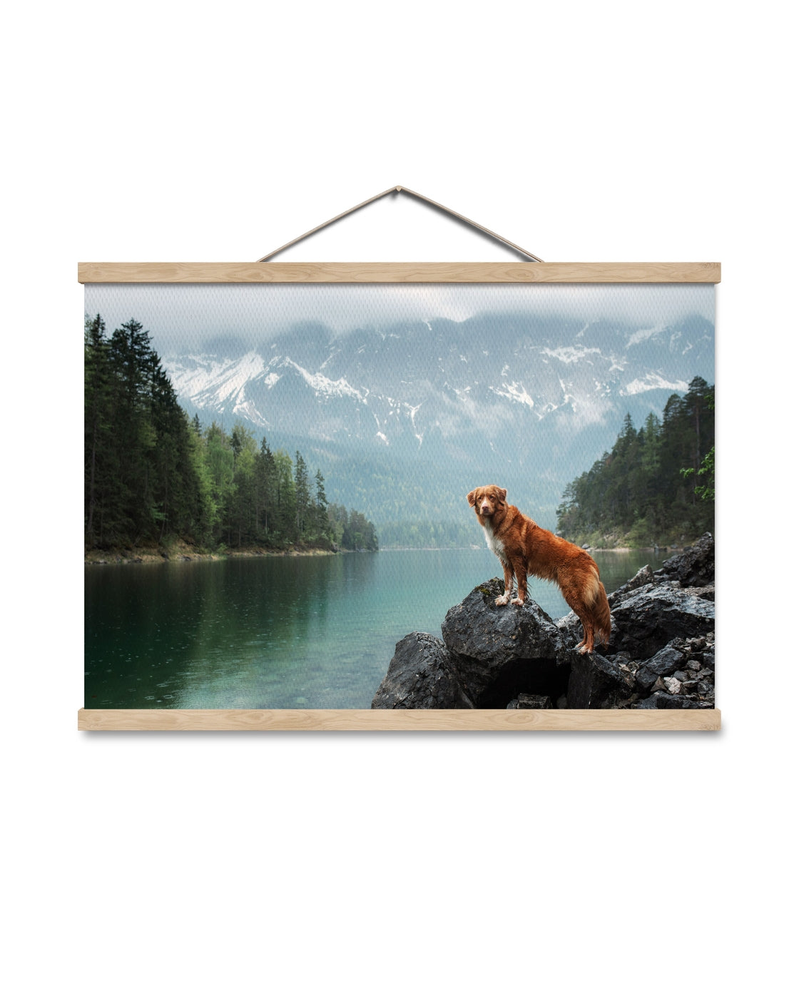 canvas