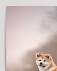 After Hover: Akita Inu by the water