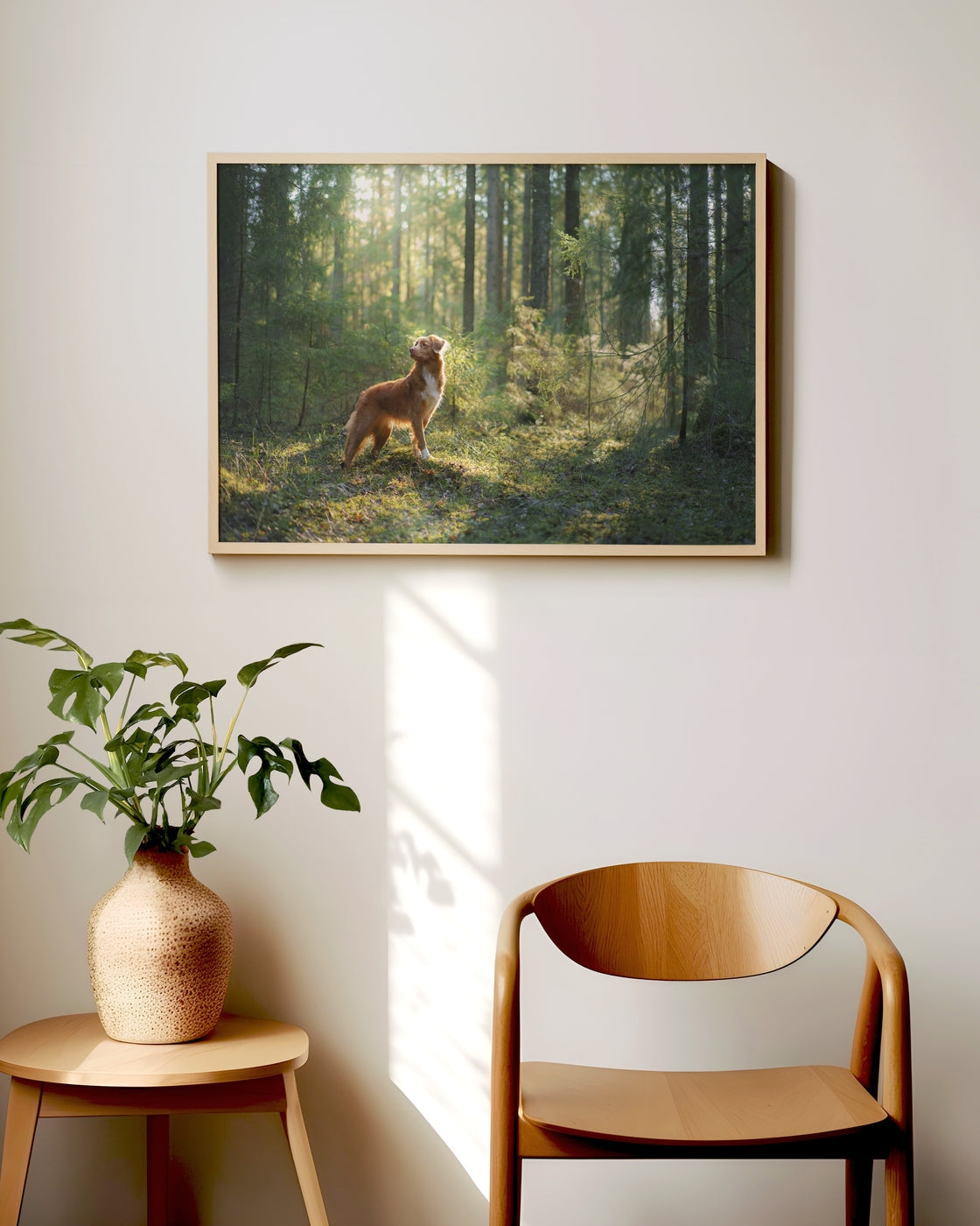 canvas