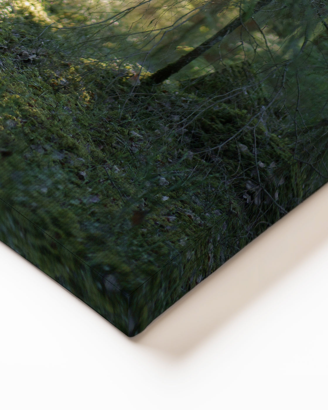 stretched-canvas