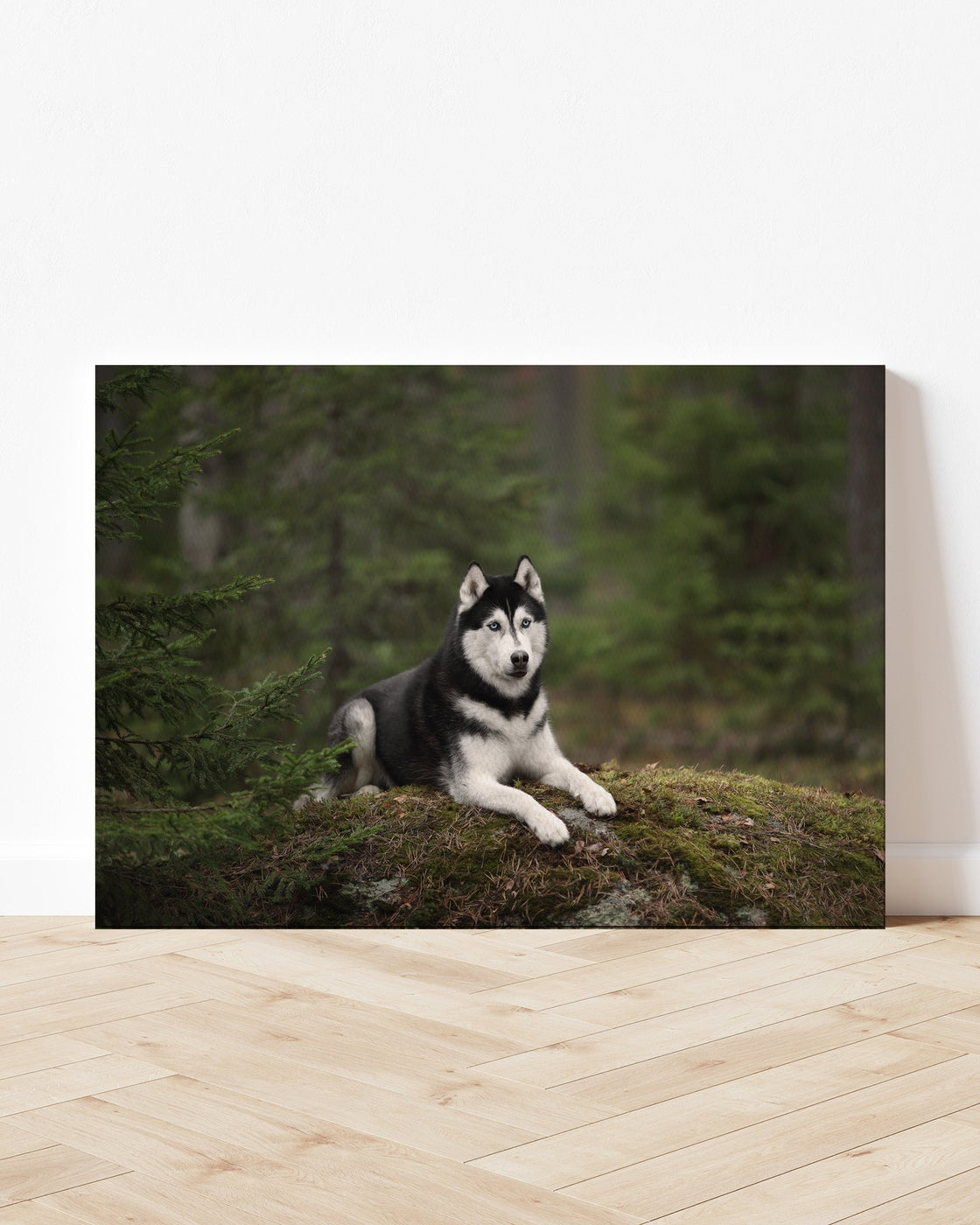 stretched-canvas