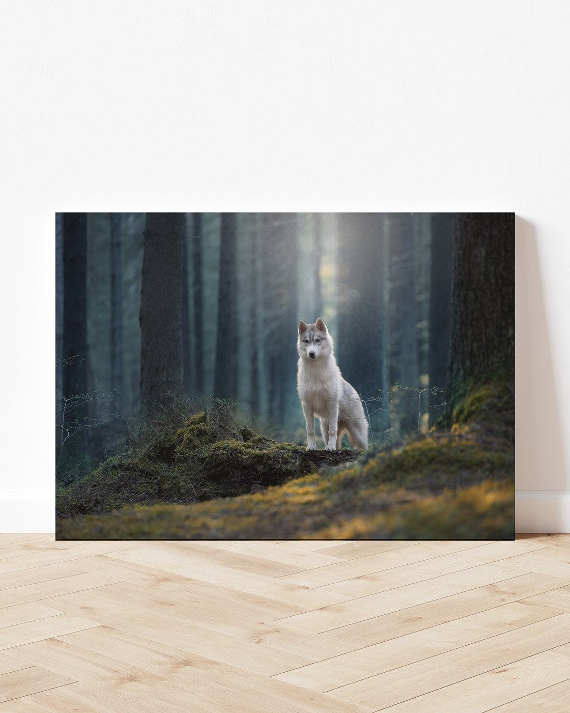 stretched-canvas
