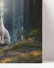 After Hover: Husky in the forest