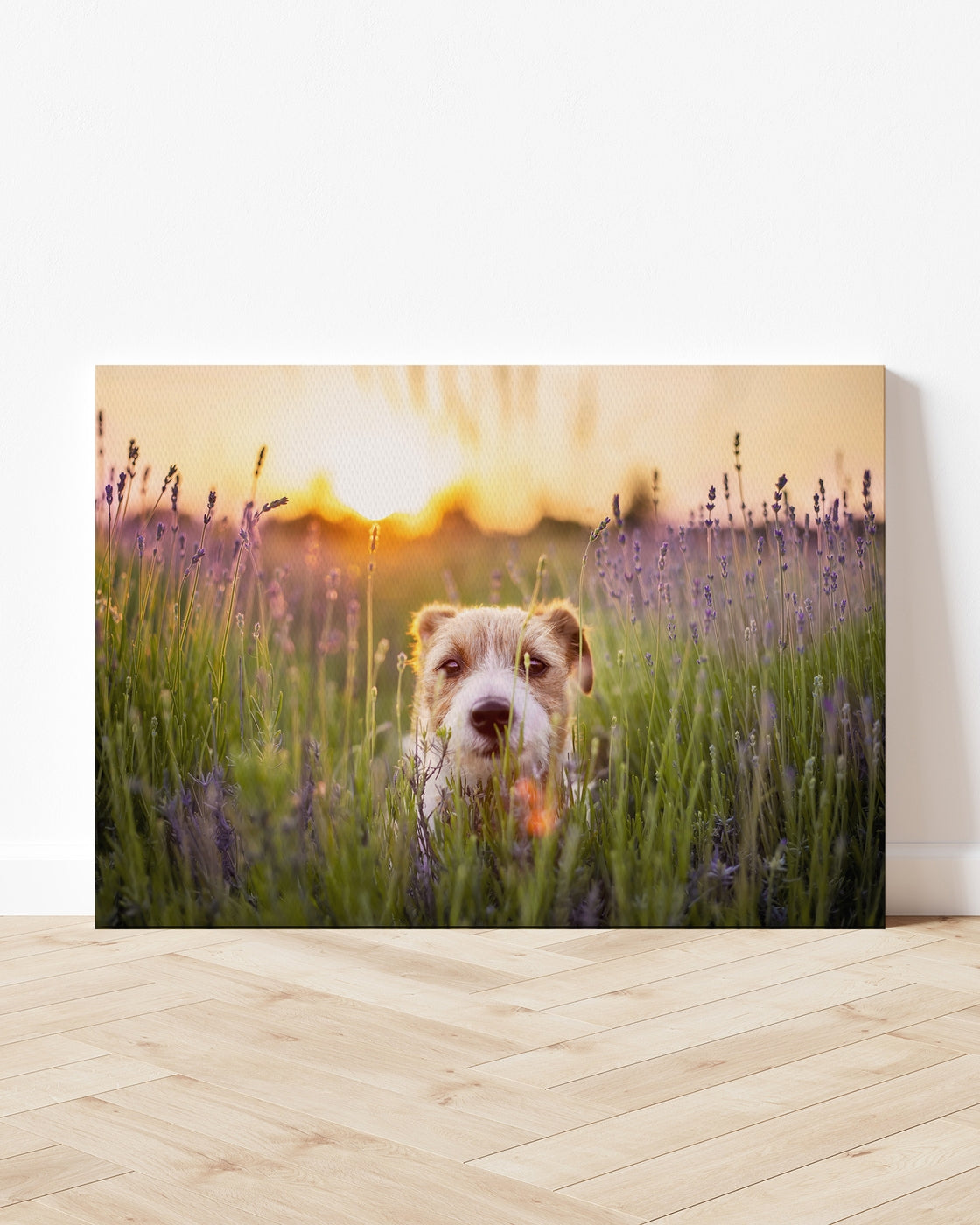 stretched-canvas