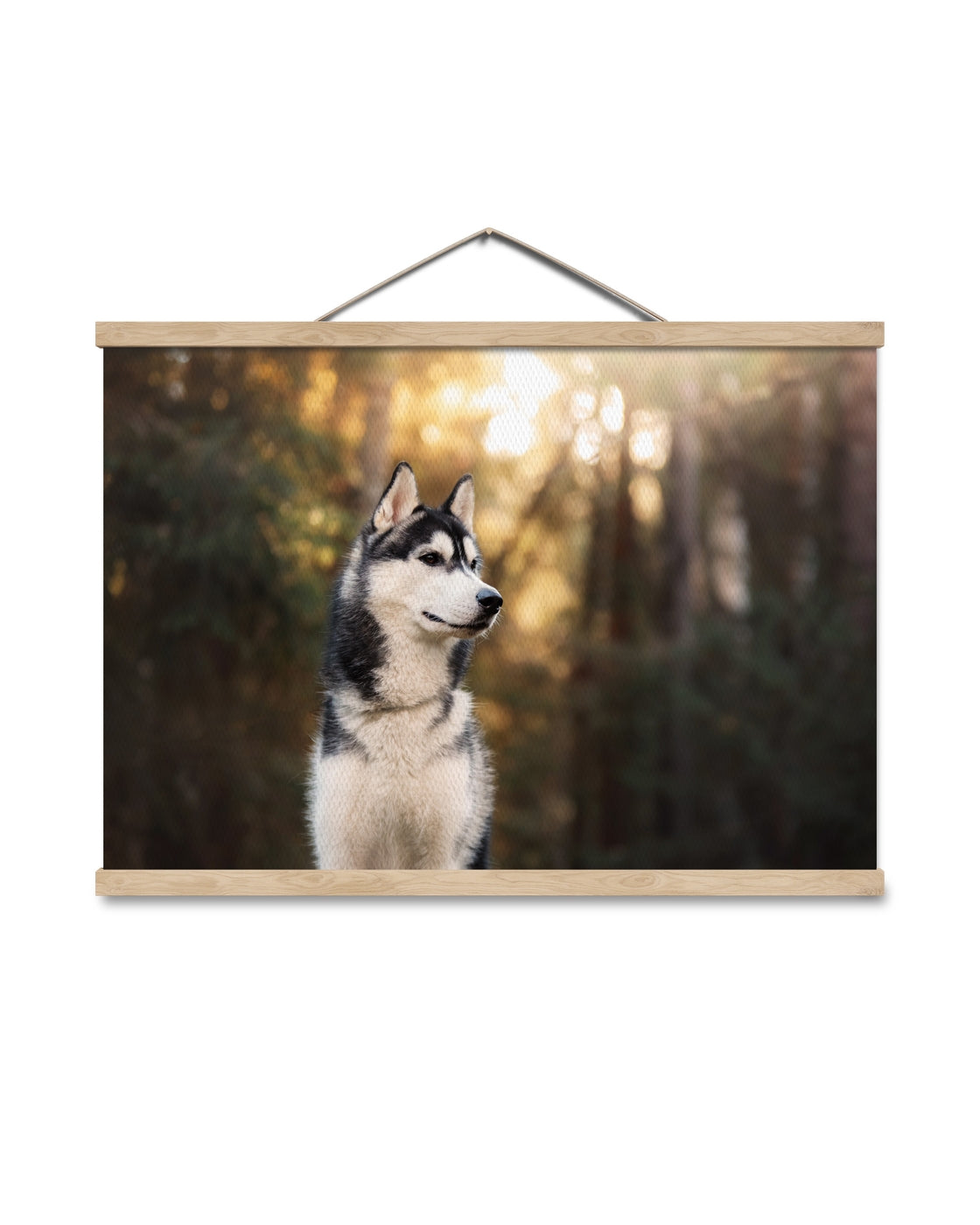 canvas
