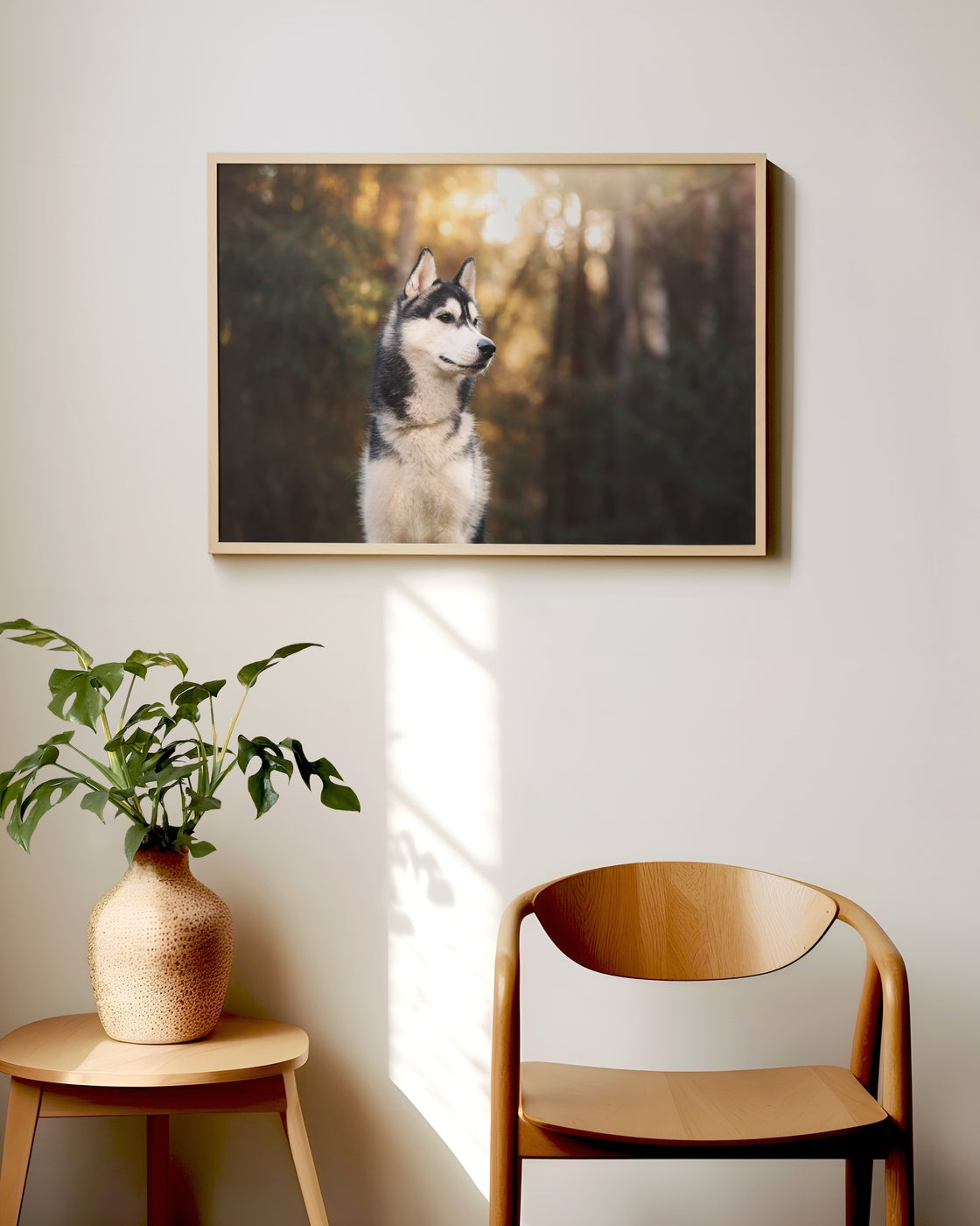 canvas