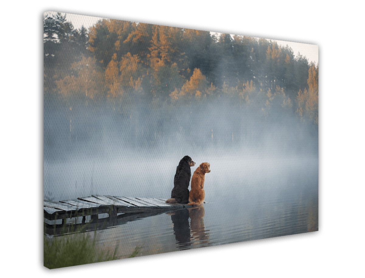 stretched-canvas