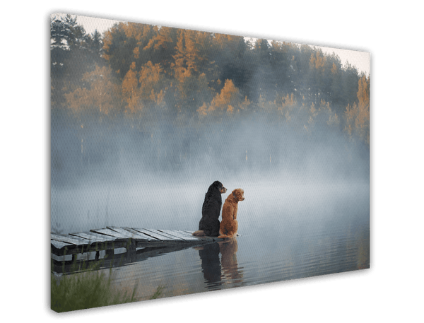 Hunde am See