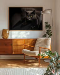 After Hover: Kartäuser Katze