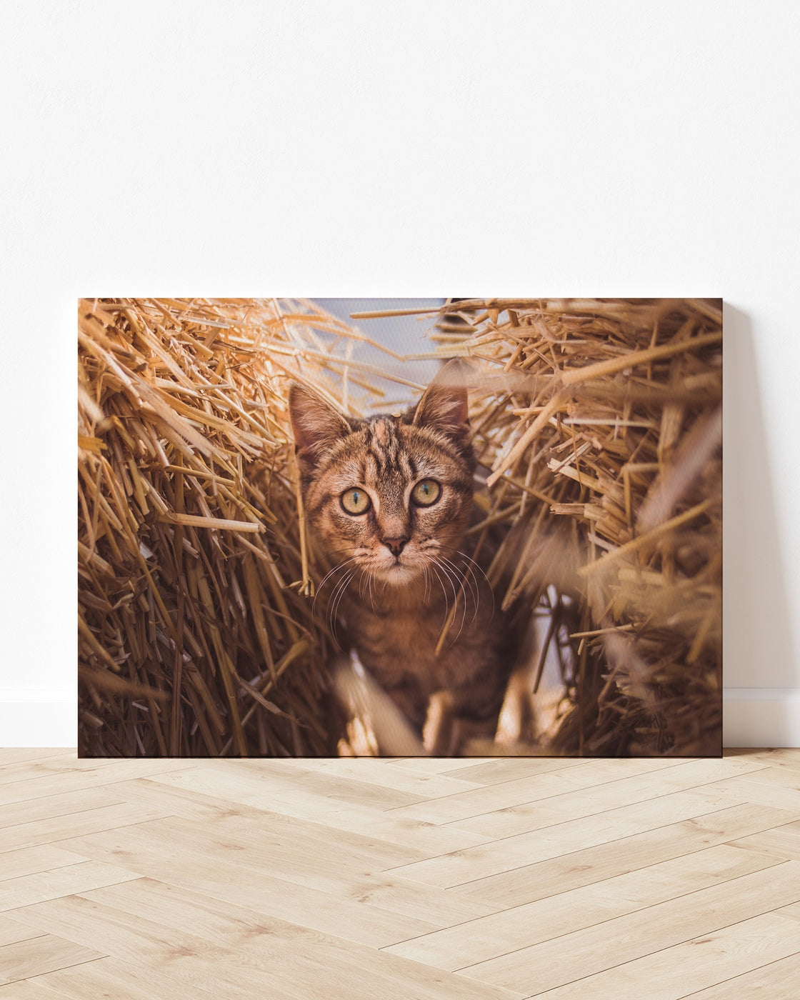 stretched-canvas