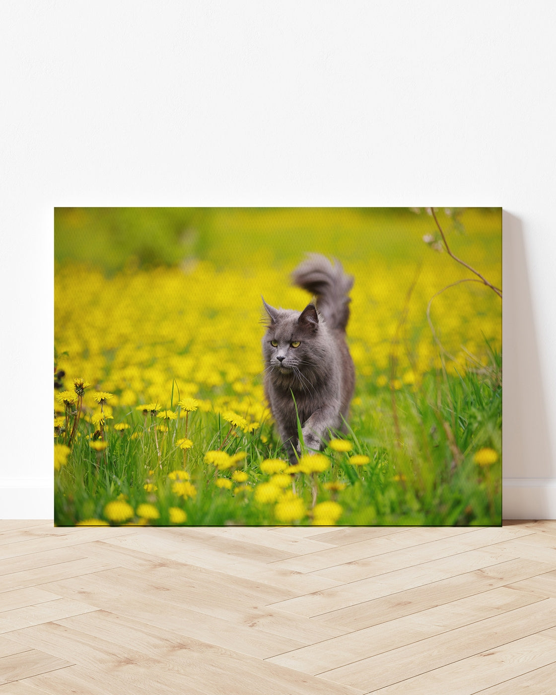 stretched-canvas