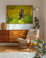 After Hover: Katze auf gelber Blumenwiese - Tier & Natur Fotografie