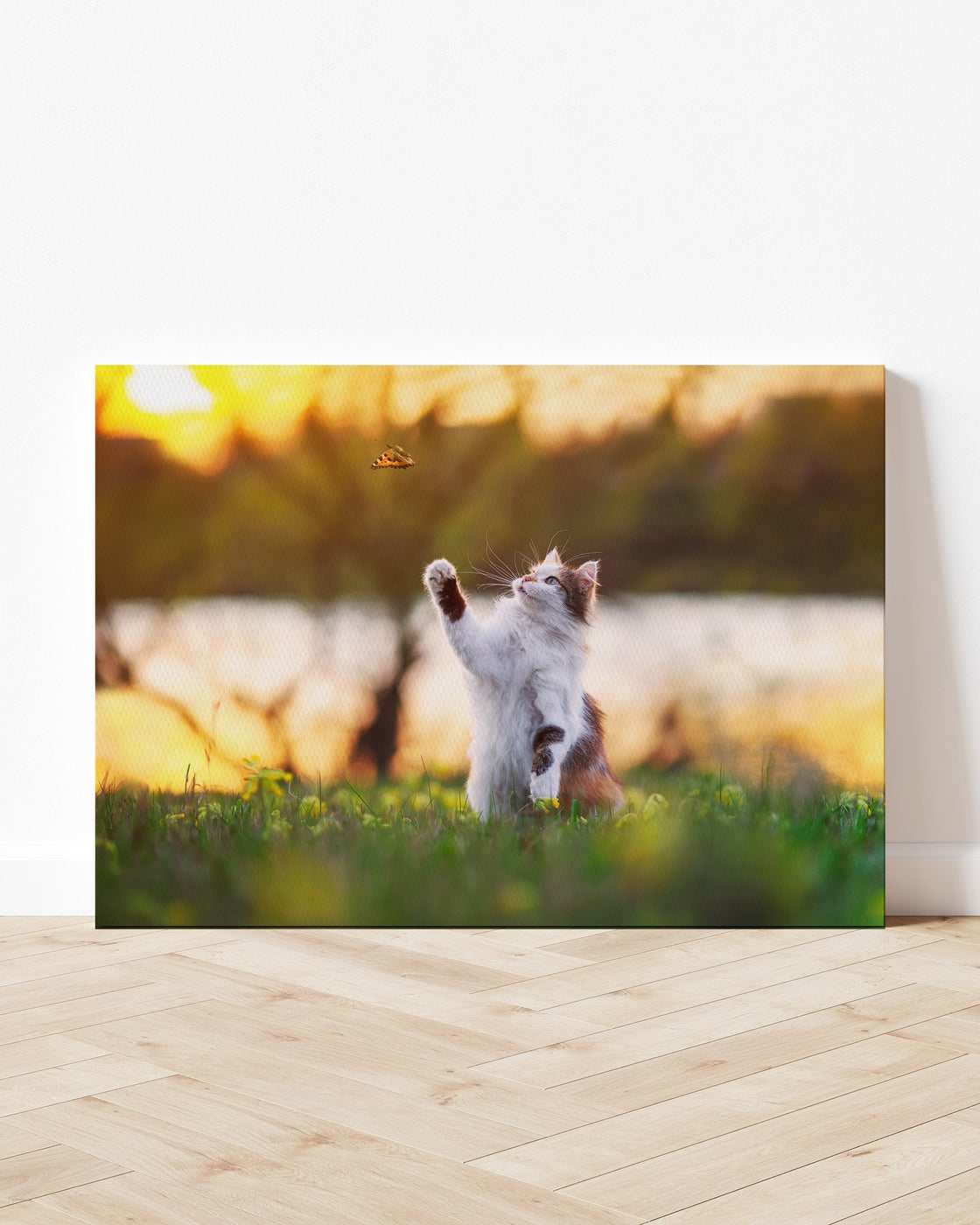 stretched-canvas