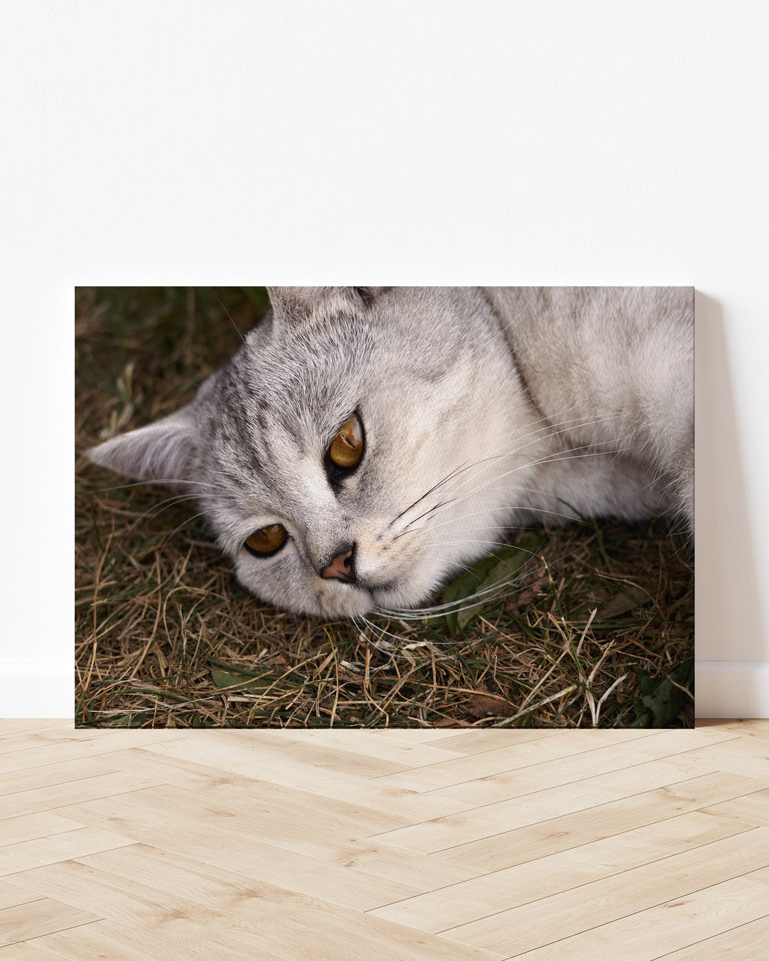stretched-canvas