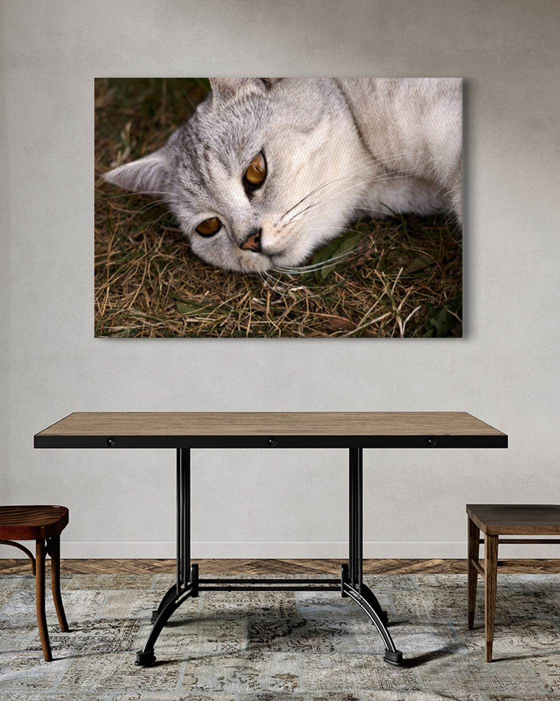 stretched-canvas