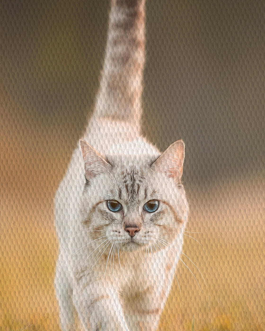 stretched-canvas
