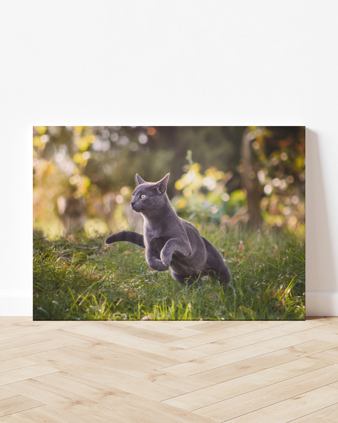 stretched-canvas