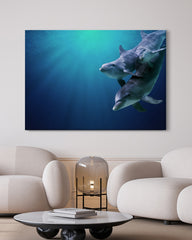After Hover: Delfin-Familie