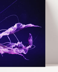After Hover: Luminous jellyfish