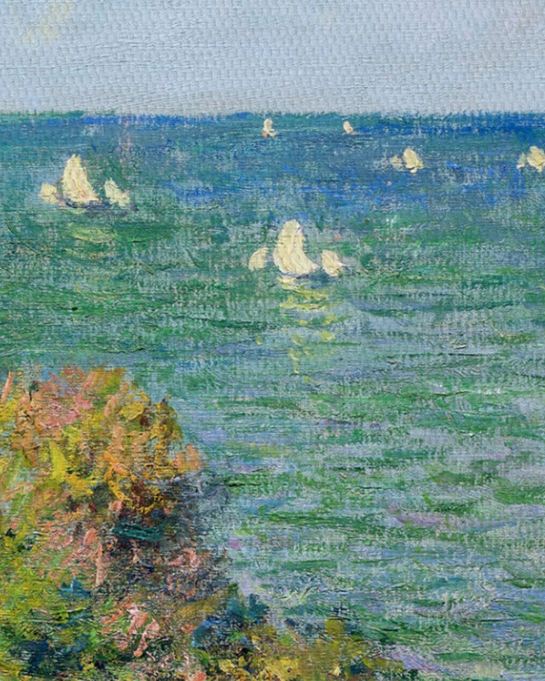 canvas