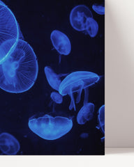 After Hover: Blue jellyfish