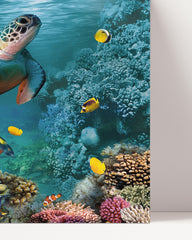 After Hover: Turtle in the coral reef