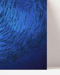 After Hover: School of fish in the ocean