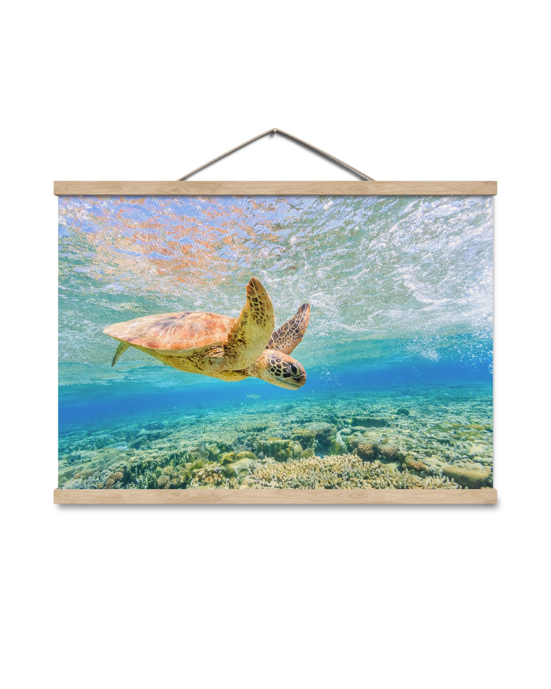 canvas