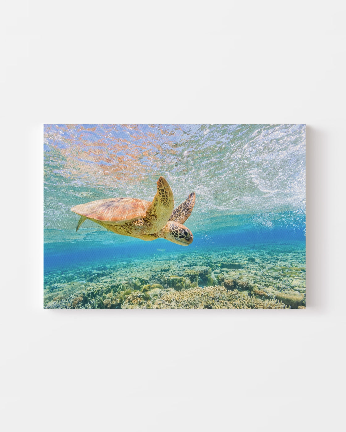 stretched-canvas