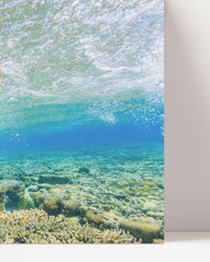 After Hover: Swimming turtle in the coral reef