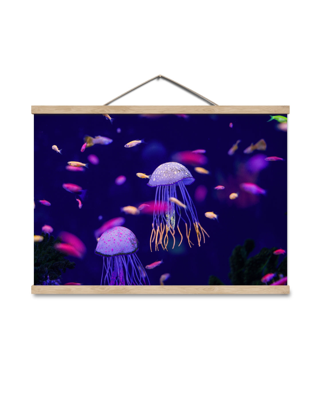 canvas