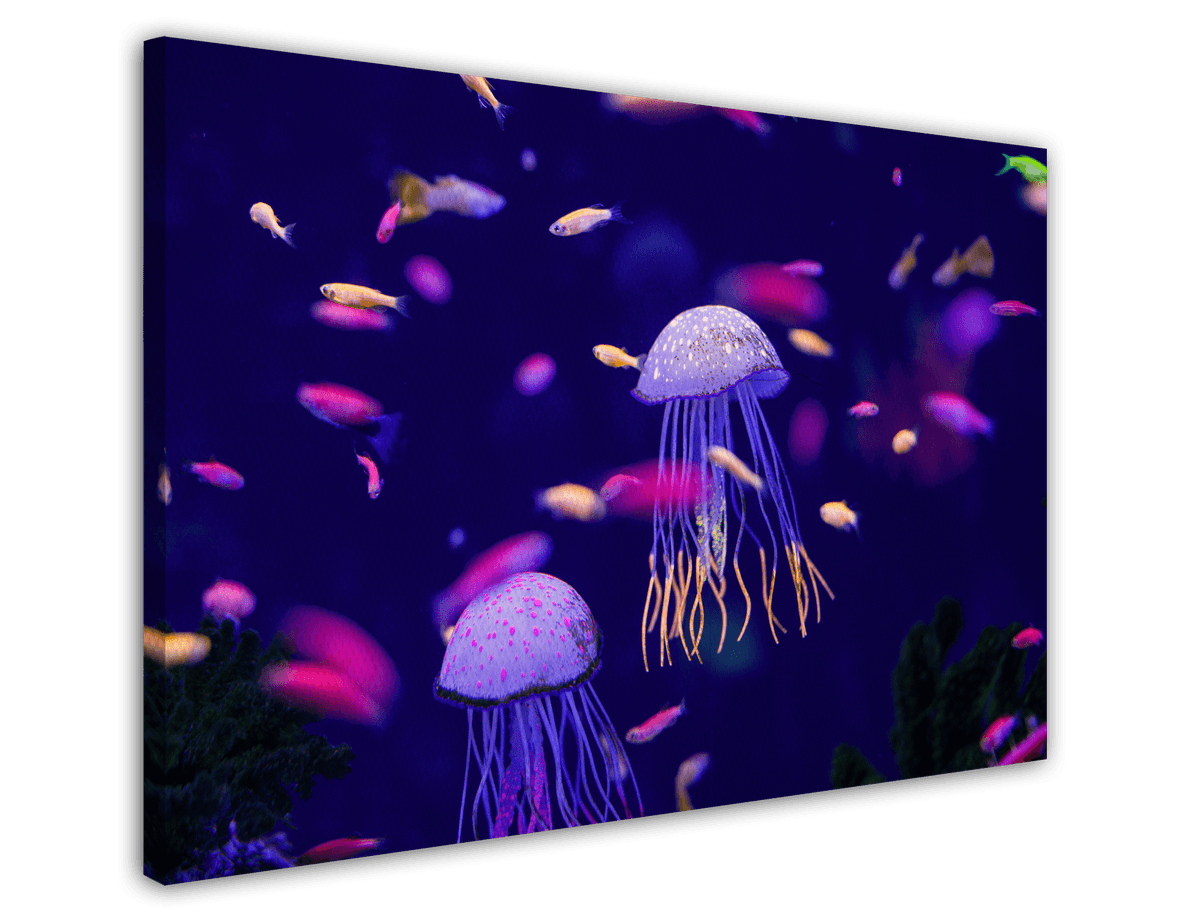 stretched-canvas