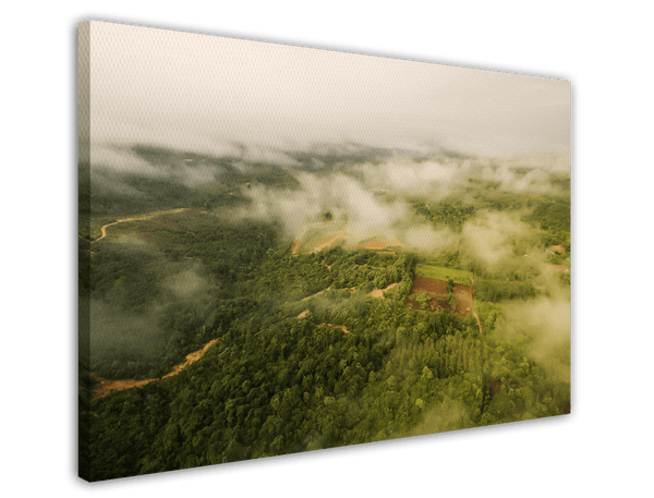 Nebel über Landschaft
