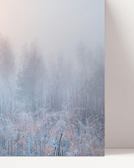 After Hover: Nature in the frost