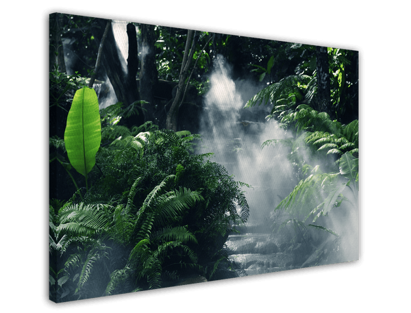 Nebel im Regenwald